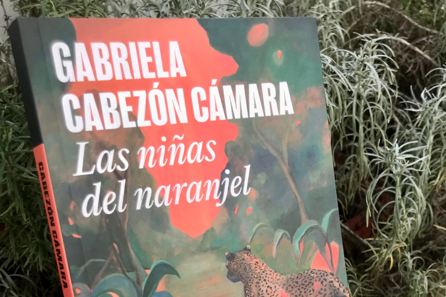 Las niñas del naranjel - Gabriela Cabezón Cámara